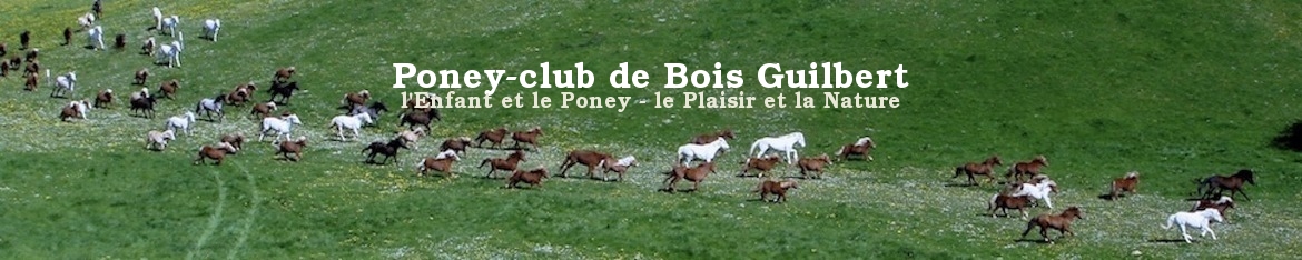 Poney-club de Bois Guilbert